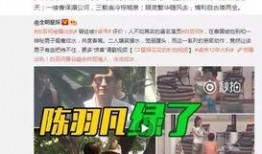 刘小庆卓伟爆料了吗视频,娱乐圈背后真相曝光