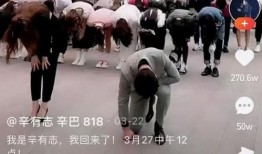 辛巴团队最新爆料,揭秘惊人内幕，行业巨变即将到来！